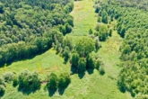 ca. Markierte Fläche (2)