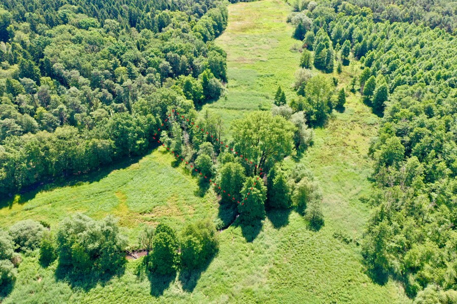 ca. Markierte Fläche (2)
