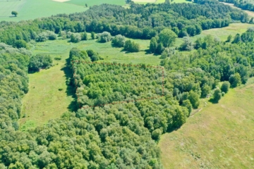 Zwei Waldgrundstücke in den Rahener Wiesen – 10.136 m² Naturfläche in Westervesede gegen Gebot, 27383 Scheeßel / Westervesede, Jagd- und Forstwirtschaft