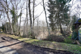 Grundstücksansicht rechts - Naturbelassenes Forstgrundstück mit 1.250 m² Fläche
