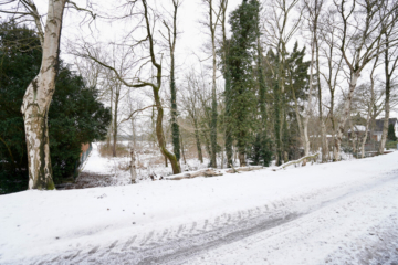 Naturbelassenes Forstgrundstück mit 1.250 m² Fläche, 27383 Scheeßel / Westerholz, Landwirtschaftlicher Betrieb