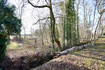 Naturbelassenes Forstgrundstück mit 1.250 m² Fläche, 27383 Scheeßel / Westerholz, Landwirtschaftlicher Betrieb