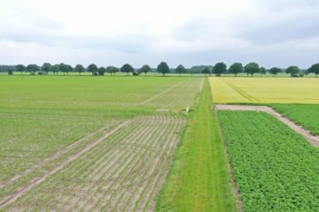 Helvesiek: Ackerlandland in einer Größe von ca. 18.227 m², 27389 Helvesiek, Landwirtschaftlicher Betrieb