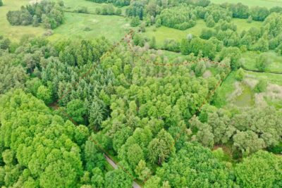 Waldgrundstück in Westervesede – 19.906 m² Forstfläche, 27383 Scheeßel / Westervesede, Jagd- und Forstwirtschaft