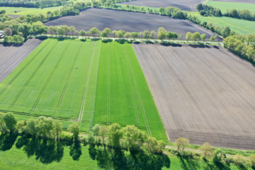 Ackerland in Wittkopsbostel – Landwirtschaftsfläche gegen Gebot, 27383 Scheeßel / Wittkopsbostel, Landwirtschaftlicher Betrieb