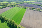 Drohnenbild - Ackerland in Wittkopsbostel – Landwirtschaftsfläche gegen Gebot