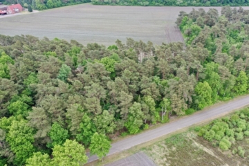 6.856 m² Waldgrundstück zwischen Bademühlen und Badenstedt, 27404 Zeven / Badenstedt, Jagd- und Forstwirschaft