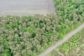 Waldgrundstück - 6.856 m² Waldgrundstück zwischen Bademühlen und Badenstedt