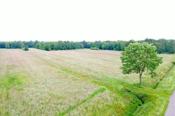 Helvesiek: Grünland- und Moorfläche mit einer Fläche von 7.885 m², 27389 Helvesiek, Landwirtschaftlicher Betrieb