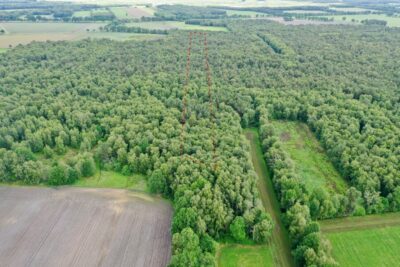 Moor- und Gehölzflächen mit insgesamt 20.488 m² in Westervesede, 27383 Scheeßel / Westervesede, Landwirtschaftlicher Betrieb