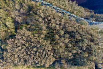 4.784 m² Waldgrundstück in der Gemarkung Jeersdorf, gegenüber dem Mühlenteich, 27383 Scheeßel / Jeersdorf, Jagd- und Forstwirschaft